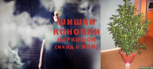 молекула духа Балахна