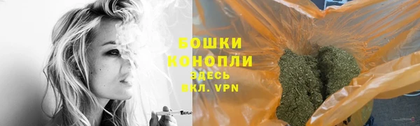 молекула духа Балахна