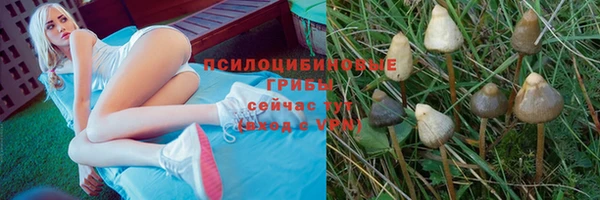 скорость Баксан