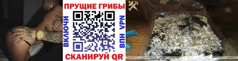 omg зеркало  Чегем  Галлюциногенные грибы GOLDEN TEACHER 